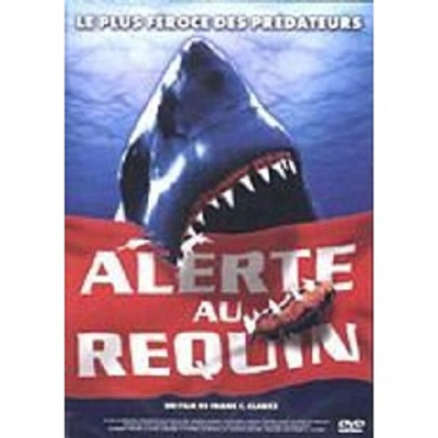 alerte au requin.